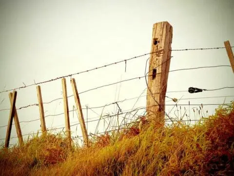 An old, rusty wire fence in the countryside