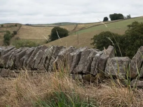 A dry stone wall in the Peak District