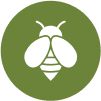 Biodiversity graphic